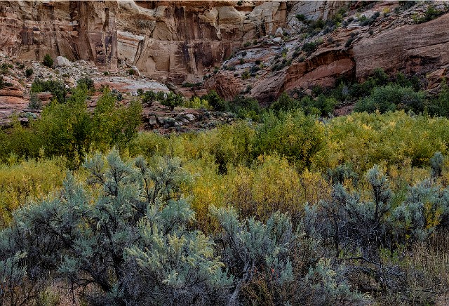 Lower Calf Creek Tr 17-2063.jpg